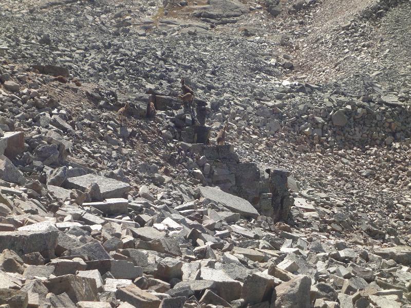 18 i miei compagni di gita oggi.JPG